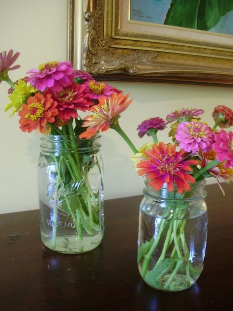 zinnias in mason jars | Gardening and Outdoors / zinnias in mason jars Zinnia Bouquet, Mason Jar Garden, Zinnia Garden, Annabelle Hydrangea, Cut Flower Garden, Ball Jars, Flower Stands, Canning Jars, In Full Bloom