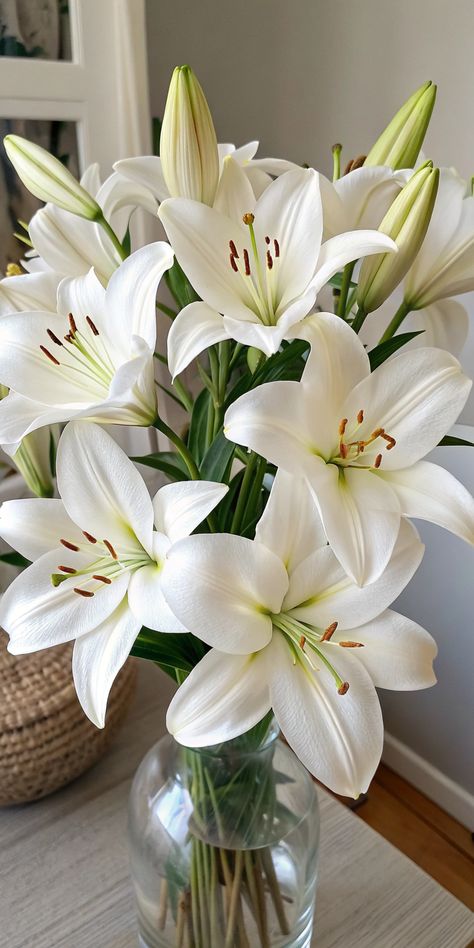 beautiful lilies White Lilly Aesthetic, Charlotte Core, Flowers For Garden, Buy Me Flowers, Wallpaper For Laptop, Lilly Flower, The Earth Laughs In Flowers, Flowers Real, Earth Laughs In Flowers