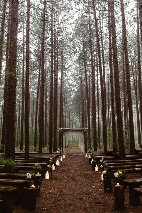 Black River Falls Wisconsin, Wedding In Black, Forest Wedding Ceremony, Twilight Wedding, Dark Wedding Theme, Rainy Day Wedding, Forest Theme Wedding, Non Traditional Wedding, Dream Wedding Decorations