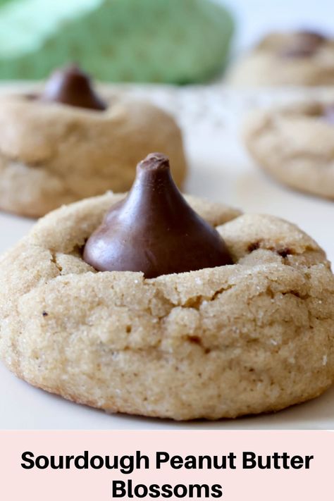 Sourdough peanut butter blossoms cookies are made with creamy peanut butter ,sourdough starter/ discard, touch of vanilla extract and Hershey’s kisses. #zestysouthindiankitchenrecipes #peanutbutterblossomcookies #christmascookies Sourdough Peanut Butter Blossoms, Sourdough Peanut Butter Cookies, Starting Sourdough, Peanut Butter Sourdough, Peanut Butter Blossoms Cookies, Discard Brownies, Sourdough Peanut Butter, Peanut Butter Kiss Cookies Recipe, Sourdough Sweets