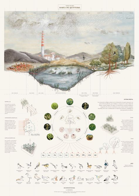 Landscape Architecture Poster Layout, Masterplan Architecture Concept, Landscape Architecture Presentation Board, Animal Research Project, Landscape Diagram, Landscape Architecture Diagram, Landscape Architecture Graphics, Architecture Design Presentation, Illustration Architecture