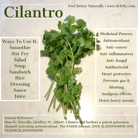 Uses For Cilantro, Cilantro Benefits, Kidney Healthy Foods, Cilantro Plant, Heavy Metal Detox, Body Detoxification, Green Algae, Healing Oils, Neurological Disorders