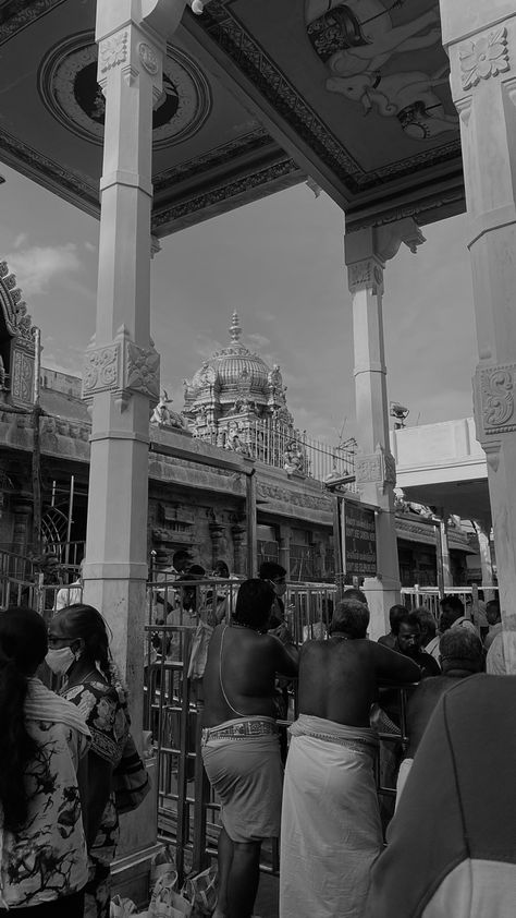 Palani Murugan Temple, Palani Murugan, Murugan Temple, Iyyapan Images Hd Wallpaper, 2025 Year, Rainy Day Aesthetic, Cow Pictures, Baby Frame, Background Images Hd