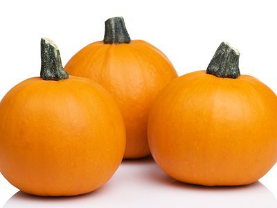 What Is Hubbard Squash? Freezing Spaghetti, Freezing Spaghetti Squash, Types Of Squash, Sweet Dumpling Squash, Pie Pumpkins, Brussel Sprout Recipes, Risotto Dishes, Pumpkin Varieties, Pumpkin Cupcake