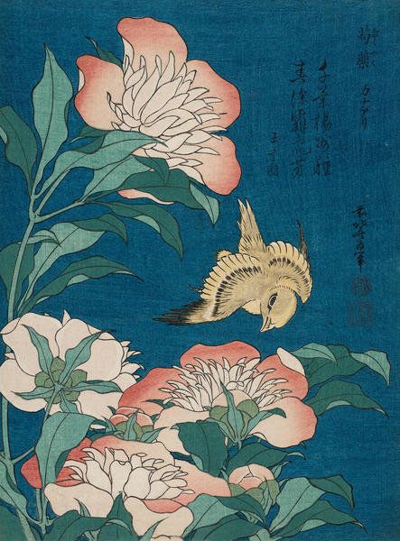 Peonies and Canary (Shakuyaku, kanaari), about 1834 by Katsushika Hokusai - Paper Print - MFA Prints On-Demand - Custom Prints and Framing From the Museum of Fine Arts, Boston Crane Painting, Hokusai Paintings, Ohara Koson, Katsushika Hokusai, Bird Art Print, Japanese Flowers, Art Japonais, Alphonse Mucha, Art Antique