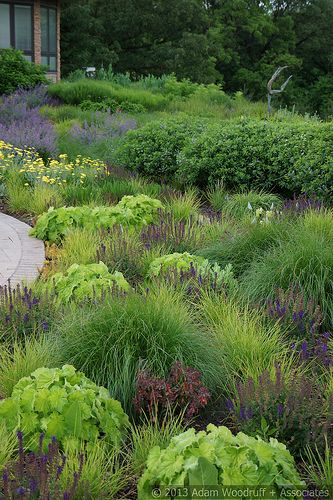 Jones Road | Designer: Adam Woodruff www.adamwoodruff.com Im… | Flickr Adam Woodruff, Drought Tolerant Landscape Design, Wave Landscape, Jones Road, Drought Tolerant Landscape, Sloped Garden, Sun Plants, Plant Combinations, Natural Garden