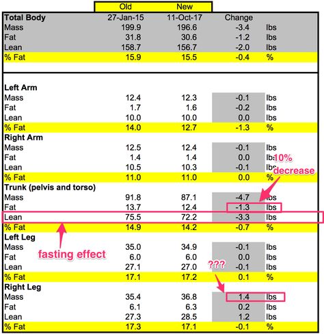 How a DEXA Body Fat, Muscle, and Bone Scan Can Help You Get Fit Bone Strengthening, Weight Bearing Exercises, Body Fat Percentage, Different Diets, Body Scanning, Bone Density, Knee Injury, Body Composition, Lean Muscle