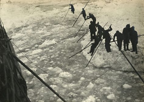 Extraordinary 1915 Photos from Ernest Shackleton’s Disastrous Antarctic Expedition | HISTORY Shackleton Endurance, Ernest Shackleton, South Georgia Island, Rare Historical Photos, Cambridge University, Epic Journey, Research Institute, Dog Sledding, Picture Library