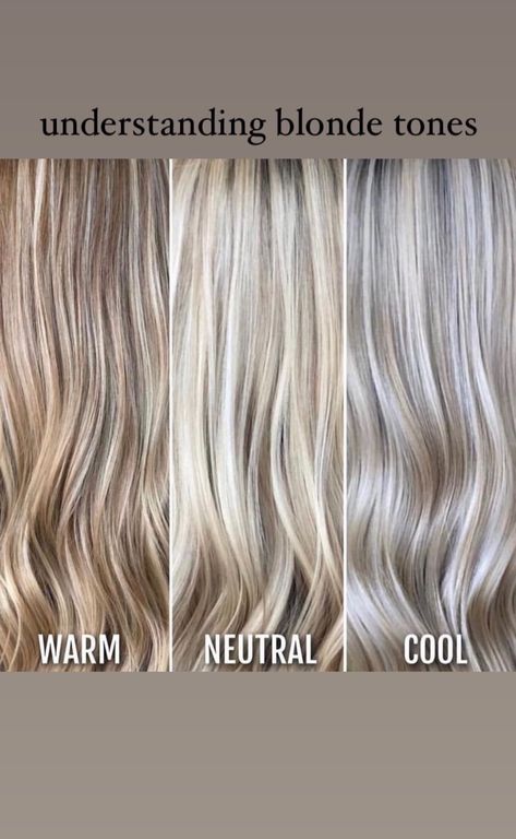 Neutral Brown Blonde Hair, Cool Tone Lowlights For Blondes, Light Ash Blonde With Lowlights, Neutral Blonde Curly Hair, Cream Soda Blonde Hair, Highlight Lowlight Blonde Short Hair, Ash Blonde Grey Blending, Different Colors Of Blonde Hair, Blonde Hair To Cover Grey Hair