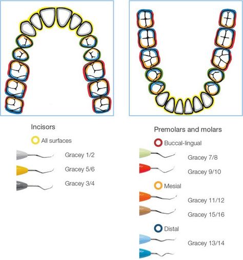 Dental Hygiene Study, Dental Notes, Dental Assistant School, Dental Hygienist School, Dental Assistant Study, Registered Dental Hygienist, Dental Hygiene Student, Dental Assisting, Dental Hygiene School