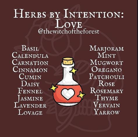 Herbs For Love, Herbal Witch, Magickal Herbs, Witch Herbs, Witch Spirituality, Magic Spell Book, Grimoire Book, Magic Herbs, Magical Herbs