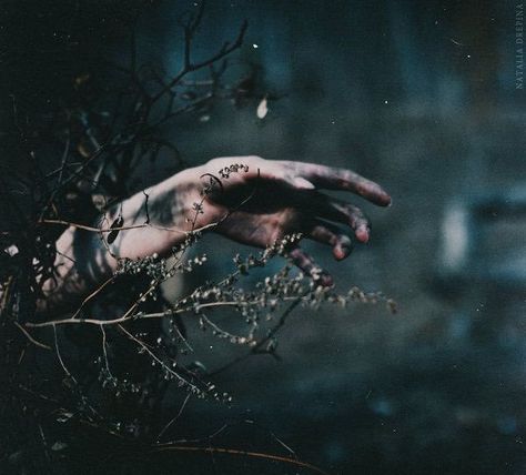 Dark Naturalism, Baba Jaga, Southern Gothic, Witch Aesthetic, Foto Art, Fantasy Aesthetic, Dark Photography, Story Inspiration, Dark Forest