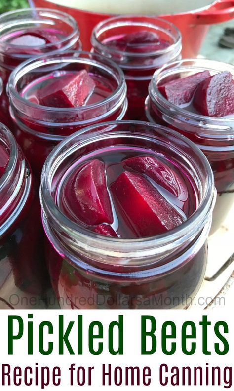 Yesterday we harvested a boatload of beets and since I am a HUGE fan of pickled beets, I decided to can a few pints {7 to be exact!}.  Although I do plan on canning more beets as the season progresses, this first canning session using the outdoor cook stove was good start to getting our … Old Fashioned Pickled Beets, Canning Beets, Pickled Beets Recipe, Canning 101, Home Canning Recipes, Canning Vegetables, Canning Recipe, Canning Food Preservation, Canning Tips