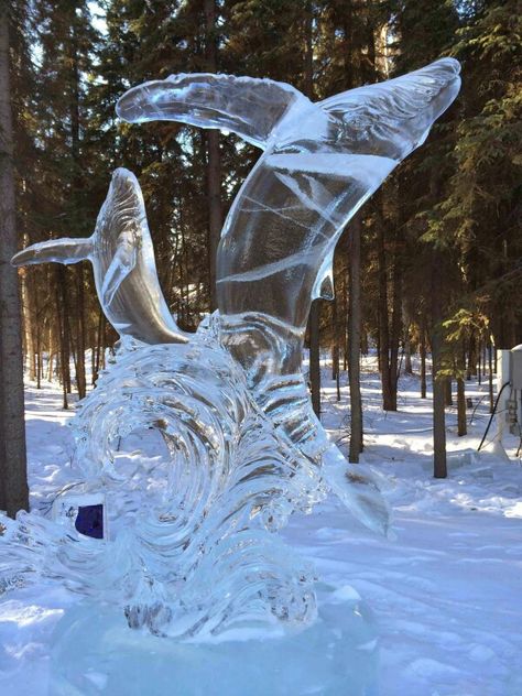 Whale Ice Sculpture Ice Carving, Ice Art, Snow Sculptures, Ice Sculpture, Ice Castles, Snow Art, Sand Sculptures, 3d Studio, Ice Sculptures