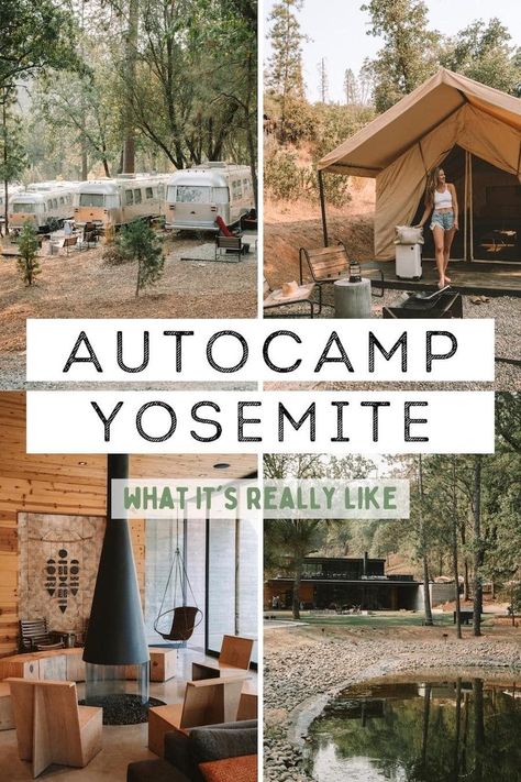 Autocamp Wedding, Autocamp Yosemite, Glamping Aesthetic, Yosemite National Park Camping, Glamping California, Unique Adventures, Red Woods, Yosemite Hikes, Family Glamping