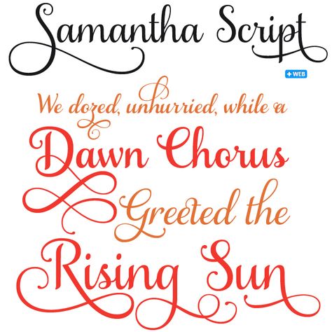 Samantha Script font sample Monogram Cricut, Samantha Font, Computer Font, Silhouette Fonts, Calligraphy Script Fonts, Fonts Calligraphy, Lettering Letters, Typography Typeface, Font Lettering