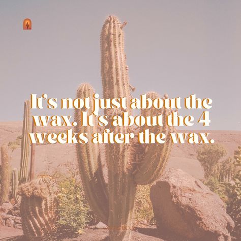 The most important thing to remember is that 80% of your wax results come for your routine at home. The 4 weeks between waxes are so important and will determine how comfortable your waxes are, how long you stay hairless and if you’ll end up with ingrown hairs. Stay hydrated 💦 Keeping yourself hydrated from the inside out ensures the hairs won’t break off leaving you with hair left over. It also makes your waxes easier. The first 24 hours ⏰ The first 24-48 hours are when you want to bab... Thanksgiving Waxing Quotes, Waxing Funny Humor Hair Removal, Waxing Memes, Waxing Quotes, Wax Content, Chemical Exfoliant, Waxing Room, Esthetician Inspiration, Wax Center