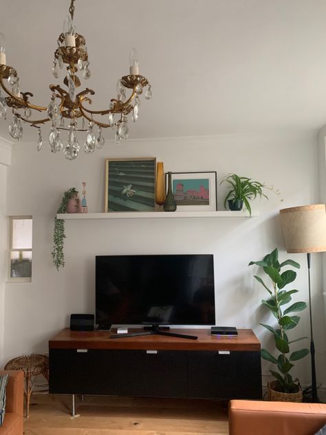 Styling a shelf above your TV @no5_blackfriars House plants Tv Room Shelf Decor, Tv On A Shelf, Hanging Shelves In Living Room, Plants Around Tv Stand, Shelf About Tv, Tv Shelf Styling, Decor Above A Tv, Tv Stand Plant Decor, Shelf Above Tv Bedroom