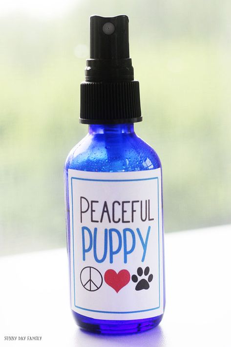 Dog Calming Spray, Dog Paw Balm, Bed Crate, Dog Spray, Positive Dog Training, Paw Balm, Basic Dog Training, Oils For Dogs, Labels Printables Free