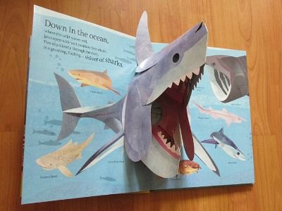 'Animals Everywhere' Children's Wildlife Pop-up Book by Jonathan Woodward Diy Pop Up Book, Arte Pop Up, Pop Up Card Templates, Pop Up Art, Animal Book, Interactive Book, Book Design Layout, Up Book, Kids Story Books