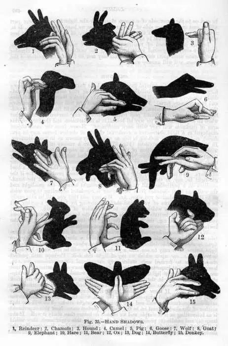 Shadow Puppets With Hands, Groundhog Day Activities, Baby Books Diy, Hand Shadows, Shadow Art, Diy Funny, Shadow Play, Shadow Puppets