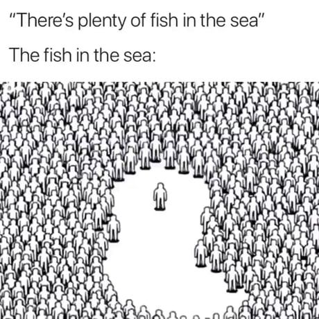 Every 9gagger Fish In The Sea, Plenty Of Fish, Catch Feelings, Lost In Space, Man Images, Sea Fish, Know Your Meme, The Fish, End Of The World