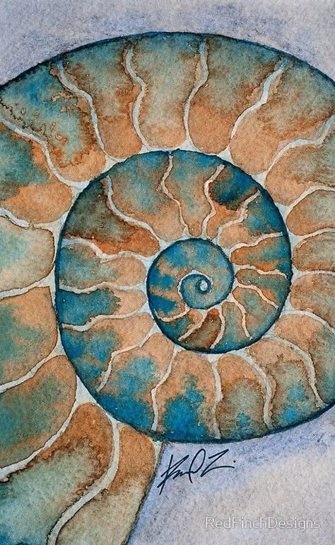 Ammonite fossil watercolor painting Fossil Painting, Ammonite Paint, Geology Art, Fossil Art, Watercolor Scarf, Seashell Painting, Blue Office, Beach House Art, Ammonite Fossil