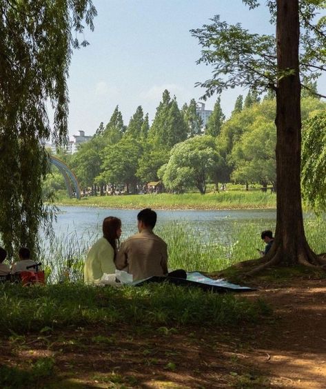 The Grass, To Leave, A Man, Trees, Lake, Twitter, Water