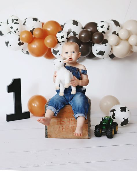 Little Cowboy First Birthday Session - Marion Illinois Photographer — Amber Farnam Photography Farm Theme First Birthday Pictures, Baby Boy 1st Birthday Photoshoot, Farm Theme First Birthday, Cowboy 1st Birthday Party, Cakesmash Photoshoot, Cowboy First Birthday, 1st Birthday Pictures, 1st Birthday Photoshoot, First Birthday Pictures