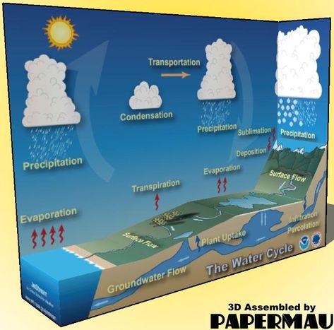 PAPERMAU: Water Cycle Diorama Paper Model - by National Weather Service Water Cycle Diorama, Water Cycle Model, Water Conservation Projects, Diorama Paper, Water Cycle Project, Science Experience, Conservation Activities, Water Modeling, Kid Experiments