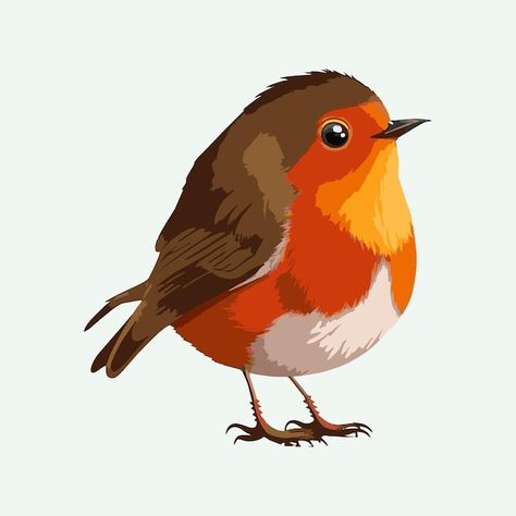 Vector cute robin bird cartoon style | Premium Vector #Freepik #vector #flight #modern #art #design Cartoon Robin Bird, Robin Bird Drawing, Robin Illustration, Robin Drawing, Robin Art, Bird Cartoon, Cartoon Bird, European Robin, Modern Art Design