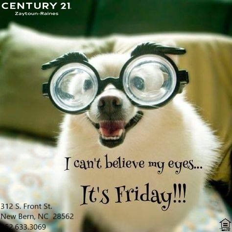 Friyayyy Quotes Funny, Happy Friyayyy Quotes, Friyayyy Quotes, Scentsy Quotes, Happy Friday Humour, Day Of The Week Quotes, Friday Inspirational Quotes, Good Friday Quotes, Friday Morning Quotes