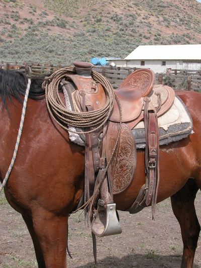 Cowboy Gear Photos - COWBOY SHOWCASE Ranching Life, Buckaroo Style, Cowboy Character Design, Outdoors Tattoos, Wade Saddles, Cowboy Photography, Tattoos Quotes, Horse Show Clothes, Barrel Racing Horses