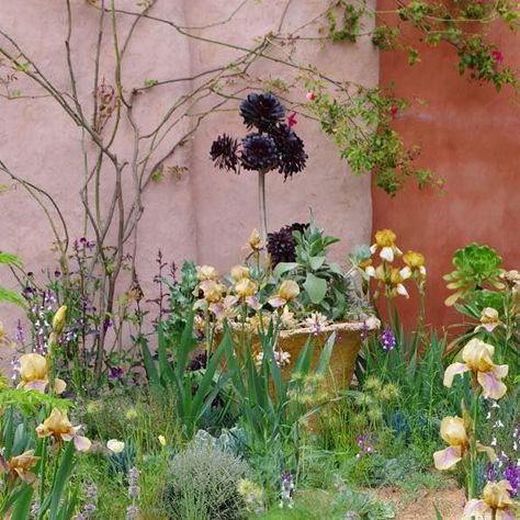 Richard Wilford on Instagram: "Something magical about Sarah Price’s garden at The Chelsea Flower Show. The Nuture Landscapes Garden. . . . . . . . . . #chelseaflowershow2023 #chelseaflowershow #sarahprice #flowershow #showgarden #garden #gardenphotographer #irises #bentonirises #gardendesign #plantingdesign #thenuturelandscapesgarden #nuturelandscape #plants" Chelsea Flower Show Gardens 2023, Sarah Price Gardens, Chelsea Flower Show 2023, Chelsea 2023, Sarah Price, Chelsea Garden, Prairie Garden, Minimalist Garden, Sensory Garden