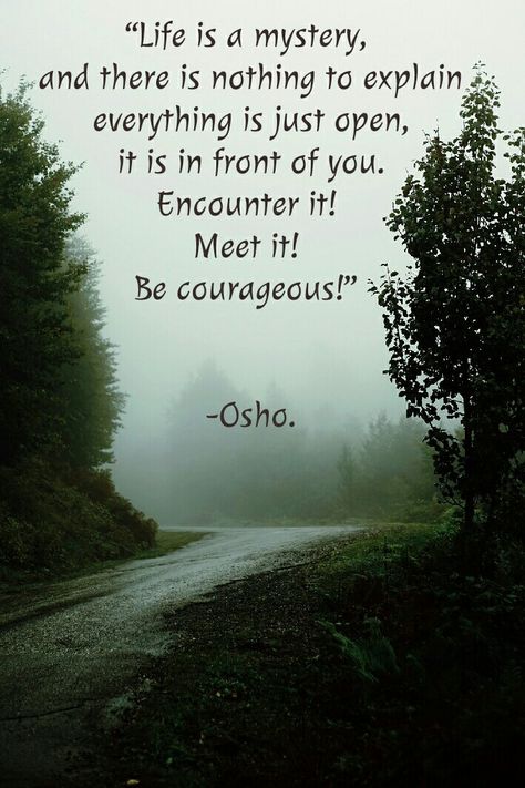 #osho #quotes Lesson Learned In Life, Swami Quotes, Quotes Shakespeare, Shanti Quotes, Om Shanti Quotes, Osho Quotes On Life, Osho Love, Self Respect Quotes, Spiritual People