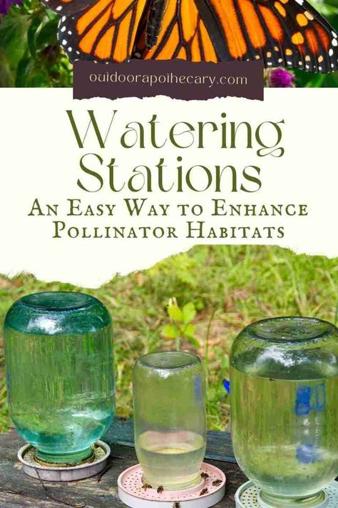 Sugar Water For Bees, Water For Bees, Backyard Ecosystem, Pollinator Garden Design, Bee Friendly Garden, How To Make Water, Low Water Gardening, Bees And Butterflies, Water Station