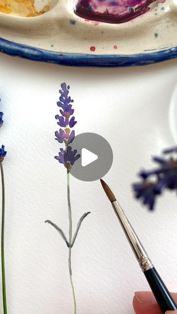 Watercolour Lavender Tutorial, Watercolor Lavender Tutorial, How To Paint Lavender, How To Paint Lavender Flowers, Lavender Plant Painting, Lavender Plant Drawing, Lavender Watercolor Painting, Watercolor Lavender Flowers, Purple Flower Watercolor