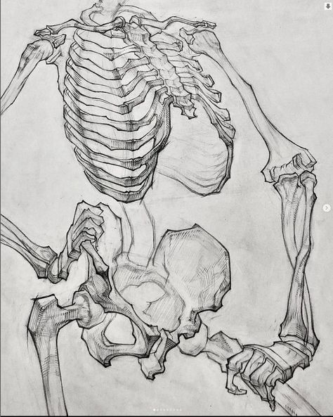 Academic Drawing, Skeleton Drawings, Human Anatomy Drawing, Human Anatomy Art, Anatomy Sketches, Anatomy For Artists, Sketch Inspiration, Anatomy Drawing, Figure Drawing Reference