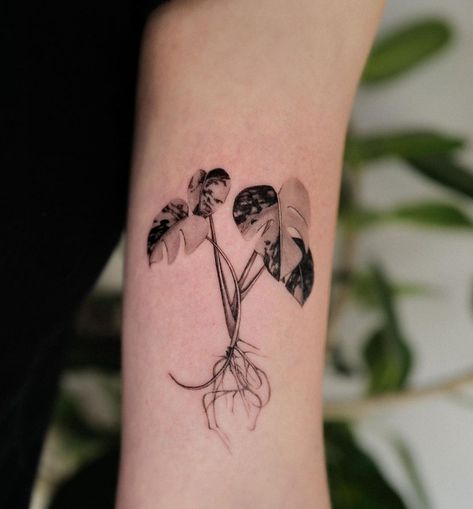 Propagated Plant Tattoo, Plant Growing Tattoo, Tattoo Ideas Big Pieces, Growing Plant Tattoo, Plant Linework Tattoo, House Plant Tattoo Ideas, Anthurium Tattoo, Abstract Plant Tattoo, Plant Lover Tattoo