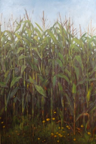 Plowed Fields Painting, Corn Painting Acrylic, Corn Field Illustration, Cornfield Painting, Corn Field Drawing, Corn Field Painting, Corn Field Pictures, Mabon Art, Picture Book Layout