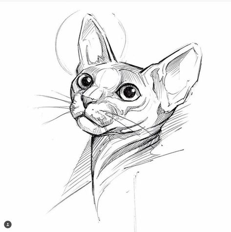 Sphynx Cat Drawing Sketch, Sphynx Drawing, Sphynx Cat Drawing, Sphynx Cat Tattoo, Sphinx Tattoo, Cat Face Tattoos, Chat Sphynx, Mtg Altered Art, Cat Drawing Tutorial