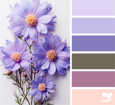 Design Seeds: Aster Color Inspiration Color Palettes, Design Seeds Color Palette, Seeds Color Palette, Colour Crush, Seeds Color, Color Catalog, Palette Design, Watercolor Greeting Cards, Wallpaper Photos