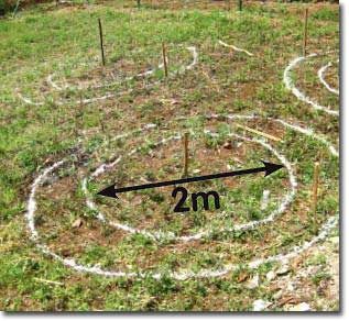 Banana Circles Banana Circle, Lost Skills, Food Forest Design, Irrigation System Diy, Landscape Drainage, Garden Cover, Food Forest Garden, Backyard Creations, Garden Companion Planting