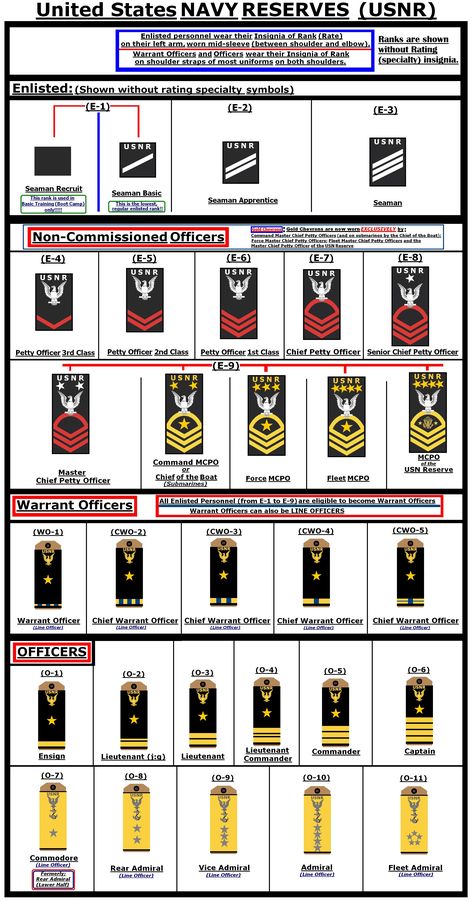 Hypothetical insignia of rank for the United States NAVY RESERVES.  They differ from active duty navy ranks by having the letters USNR above the "crow" or eagle device.  Enlisted ranks are shown without their rating or specialty insignia. Us Navy Ranks, Navy Enlisted Ranks, Navy Officer Ranks, Military Girlfriend Army, Navy Ranks, Tactical Medic, Military Ranks, Warrant Officer, Military Medals