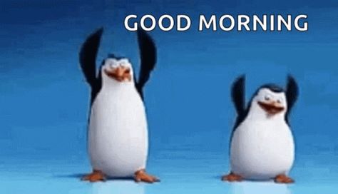 Good Morning Images Funny Gif, Good Morning Rose Gif, Good Morning Gif Funny, Dance Gif, Morning Memes, Good Morning Roses, Cute Bunny Cartoon, Good Morning Animation, Morning Cartoon