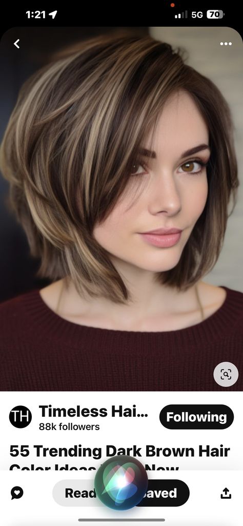 Chocolate Brown Hair With Highlights Bob, Short Brunette With Highlights, Lowlights For Brunettes Short Hair, Highlights For Dark Brown Hair Short, Deep Brown Hair With Highlights, Dark Brown Hair With Low Lights, Chocolate Brown Hair With Highlights, Short Dark Brown Hair, Aline Bob