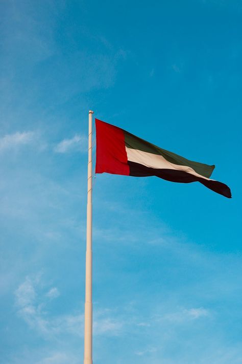 Uae Flag Aesthetic, Uae Flag, The Flag, Aesthetic Art, Flag, Art