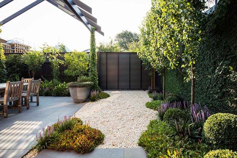 Pyrus Calleryana, Outdoor Landscape Design, Narrow Garden, Front Garden Design, Forest Garden, Garden Landscape Design, Outdoor Landscaping, Back Garden, Front Garden