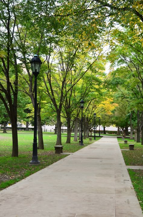 University of Pittsburgh University Landscape, University Outdoor Space, Pittsburgh University Aesthetic, University Park Design, Public Park Landscape, Campus Landscape, Brookfield Place, Streetscape Design, City Maps Design