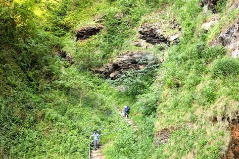 Broadsands Beach,stairs,cliff,ocean Cliff Ocean, Beach Stairs, Devon Beach, Camping Park, Family Theme, North Devon, Secret Beach, Nature View, Family Adventure